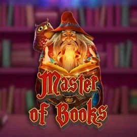 Slots logo of Master of Books from Swintt at 30bet Casino